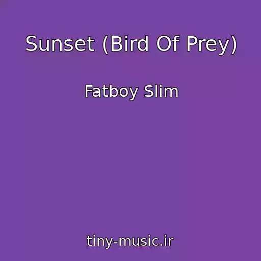 کاور آهنگ Sunset (Bird Of Prey) از Fatboy Slim