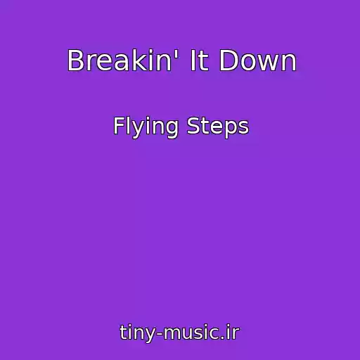 کاور آهنگ Breakin' It Down از Flying Steps