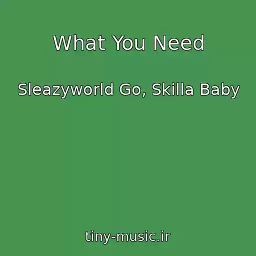 کاور آهنگ What You Need از Sleazyworld Go, Skilla Baby