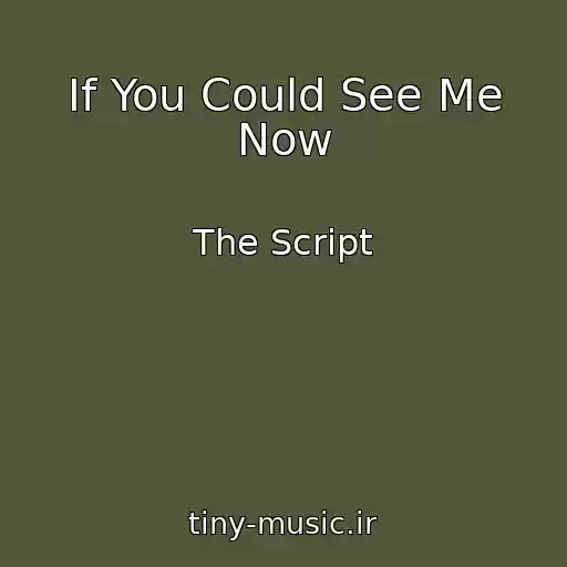 کاور آهنگ If You Could See Me Now از The Script