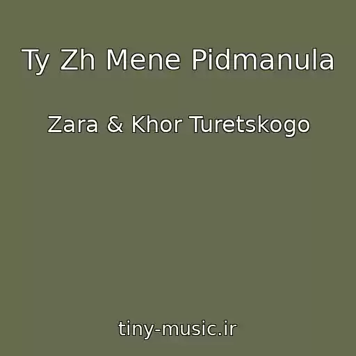 کاور آهنگ Ty Zh Mene Pidmanula از Zara & Khor Turetskogo