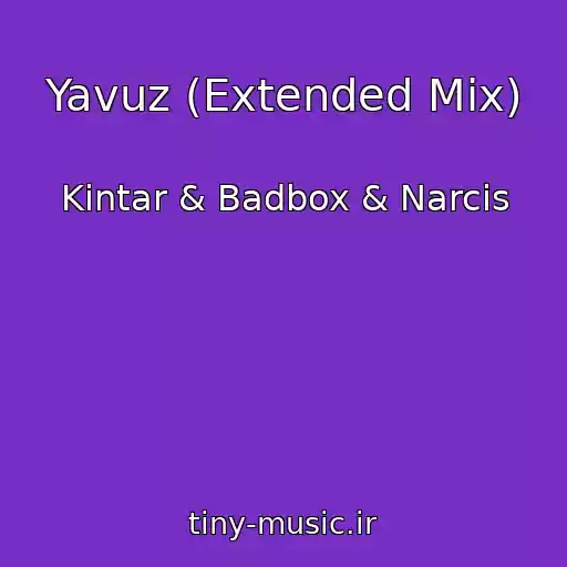 کاور آهنگ Yavuz (Extended Mix) از Kintar & Badbox & Narcis