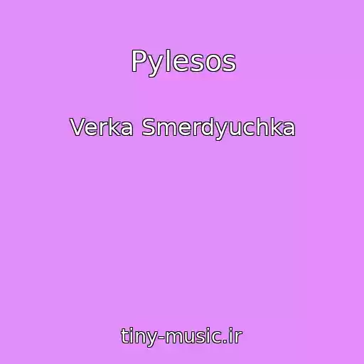 کاور آهنگ Pylesos از Verka Smerdyuchka