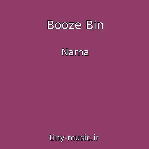 کاور آهنگ Booze Bin از Narna