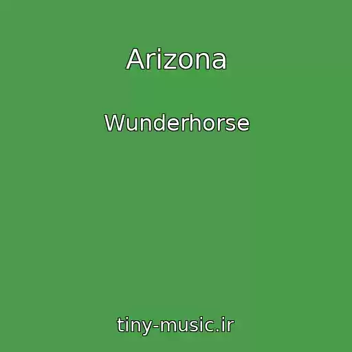 کاور آهنگ Arizona از Wunderhorse