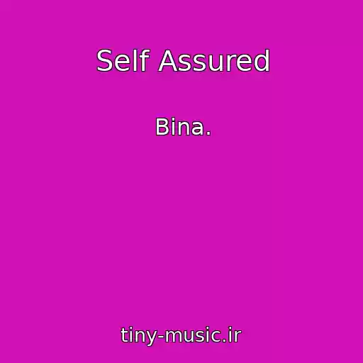 کاور آهنگ Self Assured از Bina.
