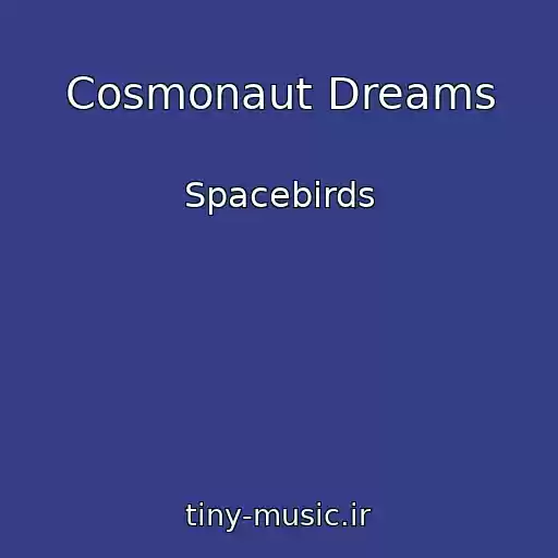 کاور آهنگ Cosmonaut Dreams از Spacebirds