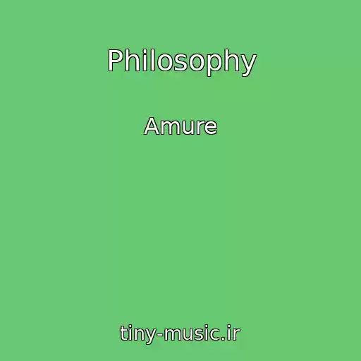 کاور آهنگ Philosophy از Amure