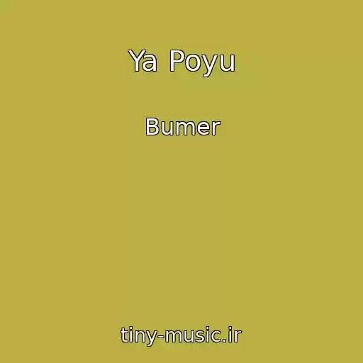 کاور آهنگ Ya Poyu از Bumer