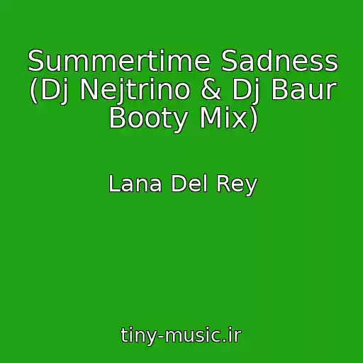 کاور آهنگ Summertime Sadness (Dj Nejtrino & Dj Baur Booty Mix) از Lana Del Rey