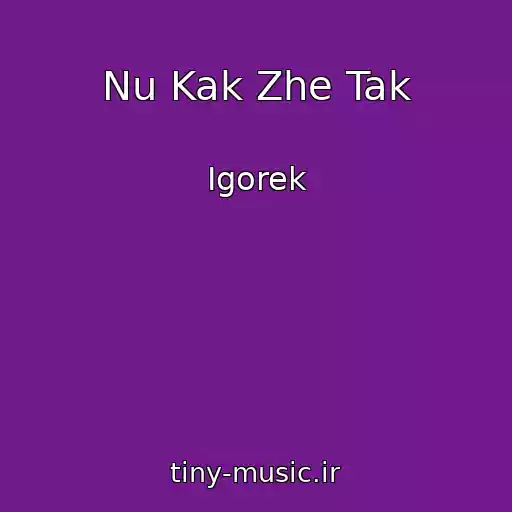 کاور آهنگ Nu Kak Zhe Tak از Igorek