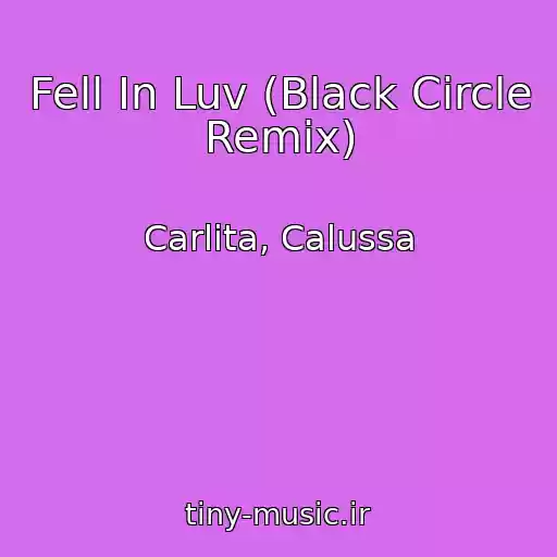 کاور آهنگ Fell In Luv (Black Circle Remix) از Carlita, Calussa