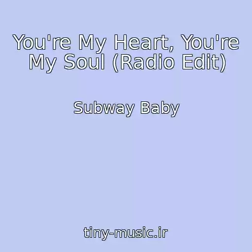 کاور آهنگ You're My Heart, You're My Soul (Radio Edit) از Subway Baby