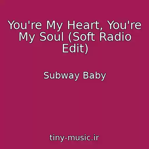 کاور آهنگ You're My Heart, You're My Soul (Soft Radio Edit) از Subway Baby