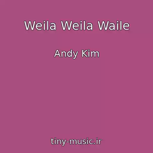 کاور آهنگ Weila Weila Waile از Andy Kim