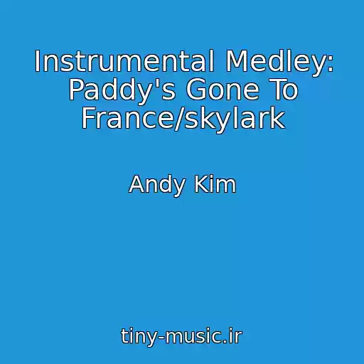 کاور آهنگ Instrumental Medley: Paddy's Gone To France/skylark از Andy Kim