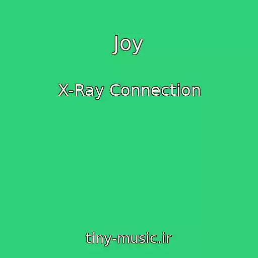 کاور آهنگ Joy از X-Ray Connection
