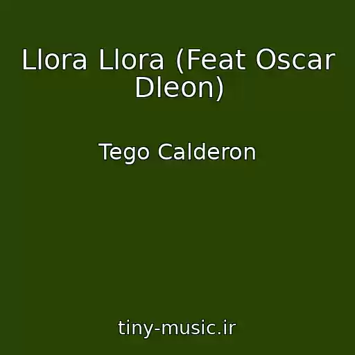کاور آهنگ Llora Llora (Feat Oscar Dleon) از Tego Calderon