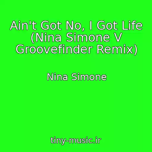 کاور آهنگ Ain't Got No, I Got Life (Nina Simone V Groovefinder Remix) از Nina Simone