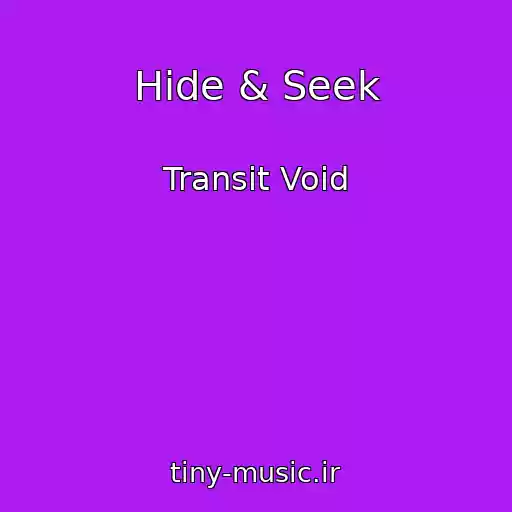 کاور آهنگ Hide & Seek از Transit Void
