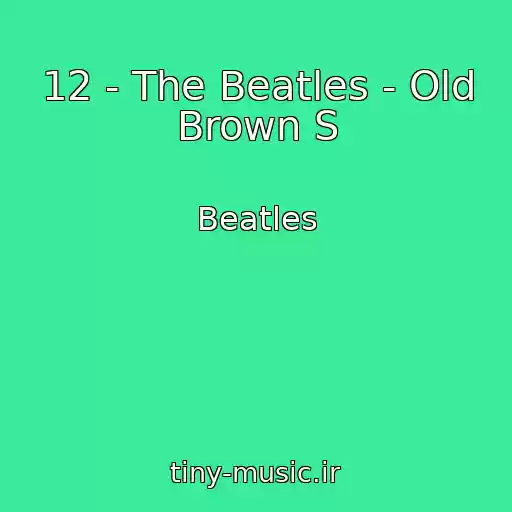کاور آهنگ 12 - The Beatles - Old Brown S از Beatles