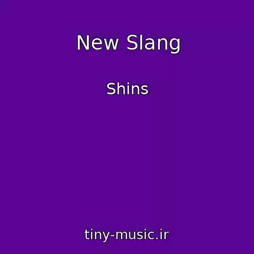 کاور آهنگ New Slang از Shins