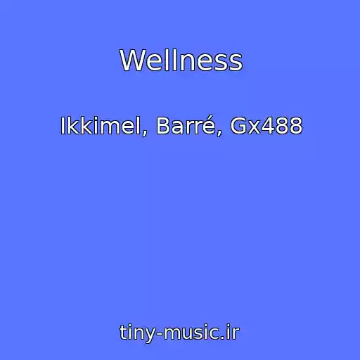 کاور آهنگ Wellness از Ikkimel, Barré, Gx488