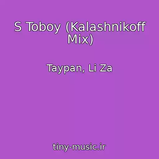 کاور آهنگ S Toboy (Kalashnikoff Mix) از Taypan, Li Za