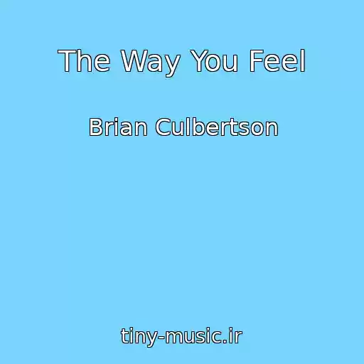 کاور آهنگ The Way You Feel از Brian Culbertson