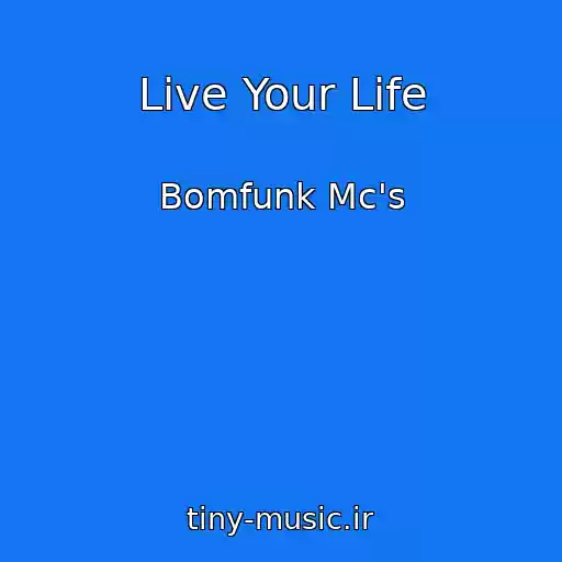 کاور آهنگ Live Your Life از Bomfunk Mc's