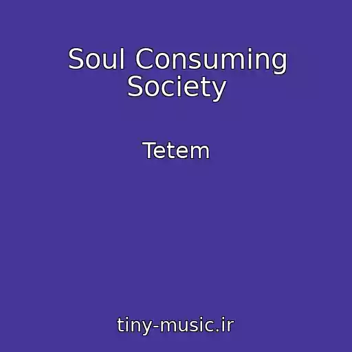 کاور آهنگ Soul Consuming Society از Tetem