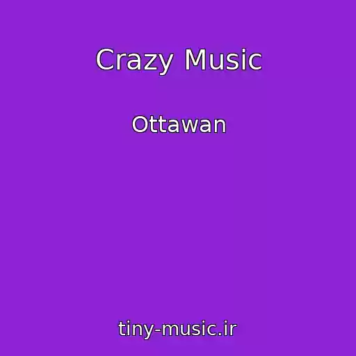 کاور آهنگ Crazy Music از Ottawan