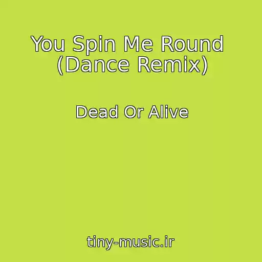 کاور آهنگ You Spin Me Round  (Dance Remix) از Dead Or Alive