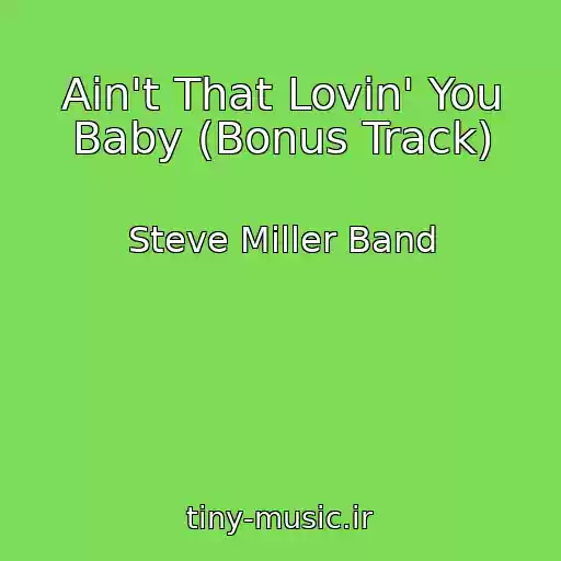 کاور آهنگ Ain't That Lovin' You Baby (Bonus Track) از Steve Miller Band