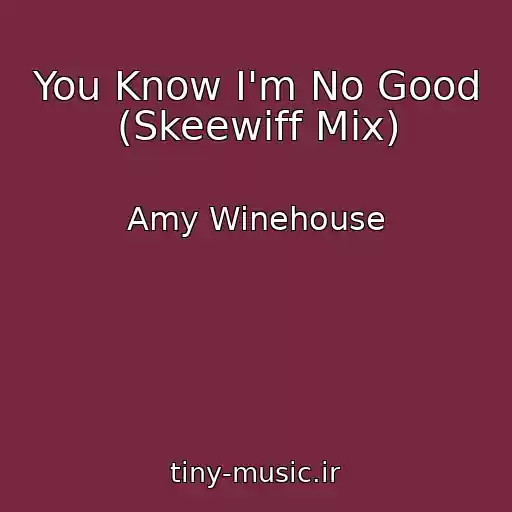 کاور آهنگ You Know I'm No Good (Skeewiff Mix) از Amy Winehouse