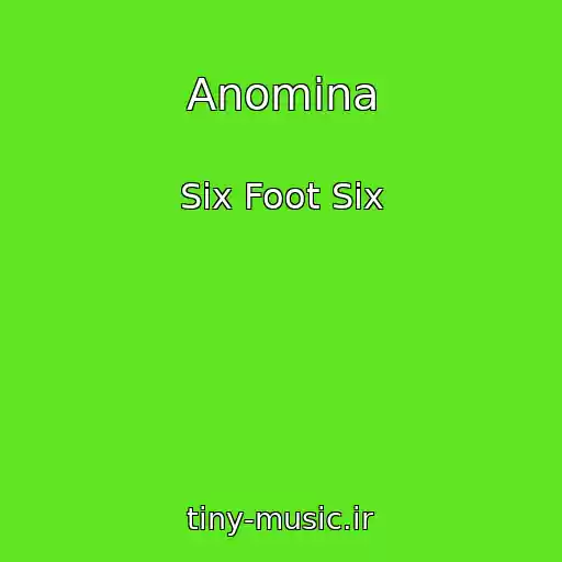 کاور آهنگ Anomina از Six Foot Six