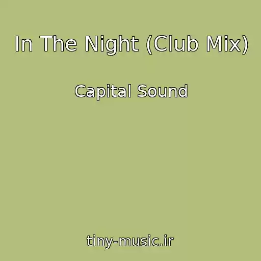کاور آهنگ In The Night (Club Mix) از Capital Sound