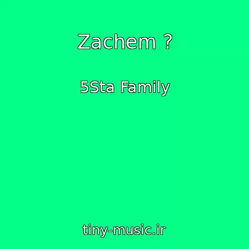 کاور آهنگ Zachem ? از 5Sta Family