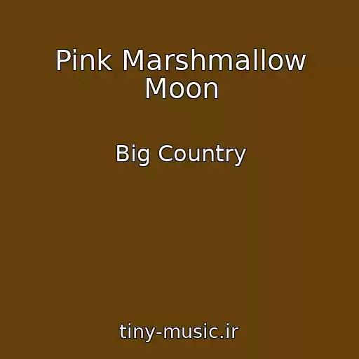 کاور آهنگ Pink Marshmallow Moon از Big Country