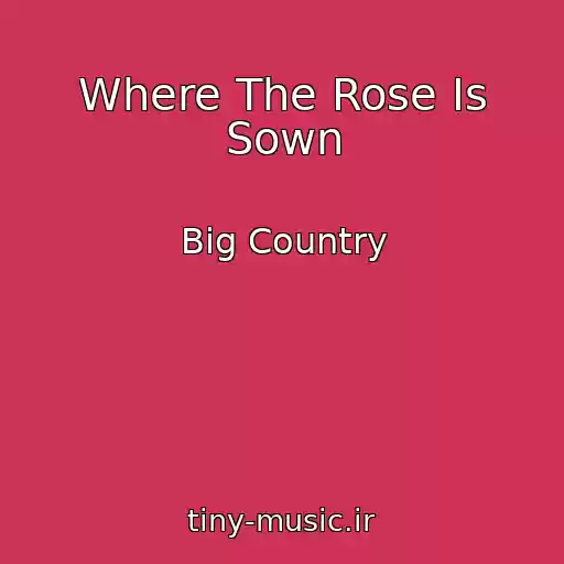 کاور آهنگ Where The Rose Is Sown از Big Country