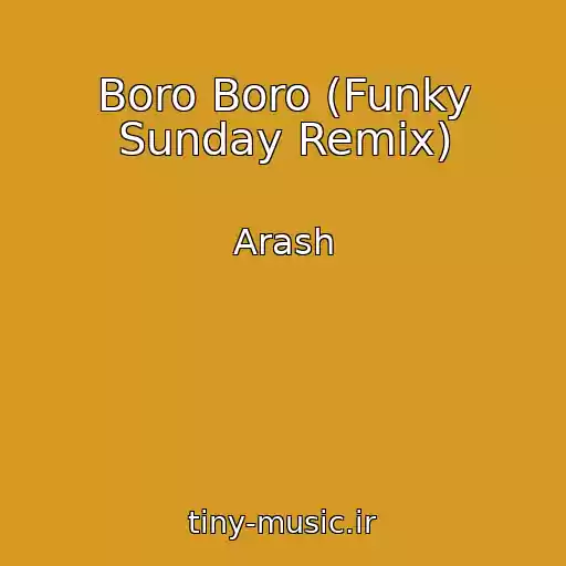 کاور آهنگ Boro Boro (Funky Sunday Remix) از Arash