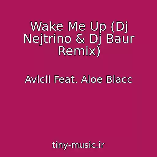 کاور آهنگ Wake Me Up (Dj Nejtrino & Dj Baur Remix) از Avicii Feat. Aloe Blacc