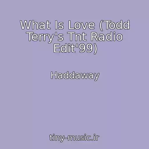 کاور آهنگ What Is Love (Todd Terry's Tnt Radio Edit'99) از Haddaway