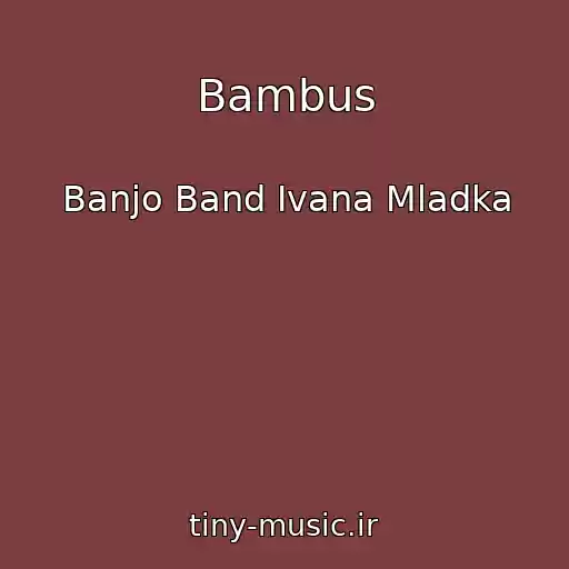 کاور آهنگ Bambus از Banjo Band Ivana Mladka