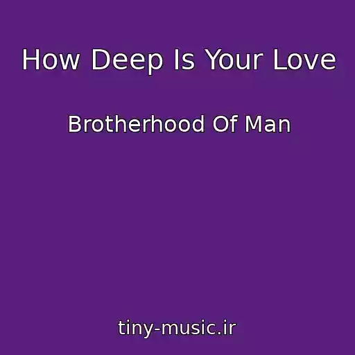 کاور آهنگ How Deep Is Your Love از Brotherhood Of Man