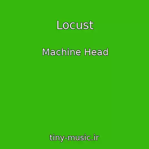 کاور آهنگ Locust از Machine Head