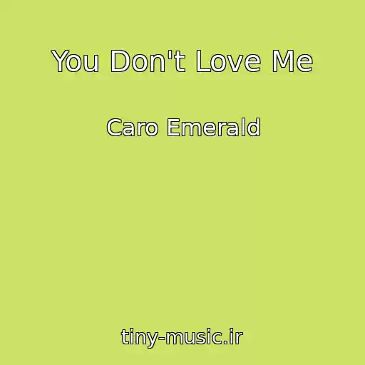 کاور آهنگ You Don't Love Me از Caro Emerald