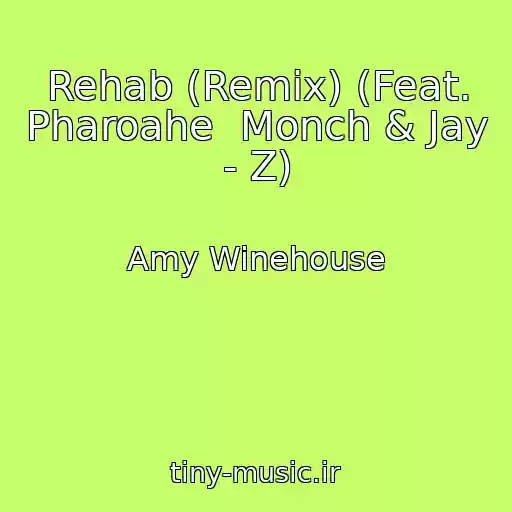 کاور آهنگ Rehab (Remix) (Feat. Pharoahe  Monch & Jay - Z) از Amy Winehouse