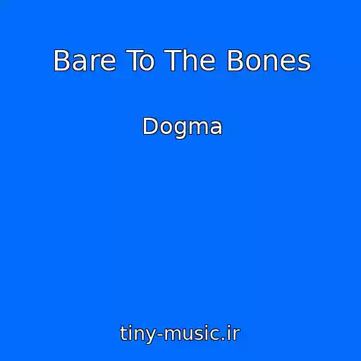 کاور آهنگ Bare To The Bones از Dogma