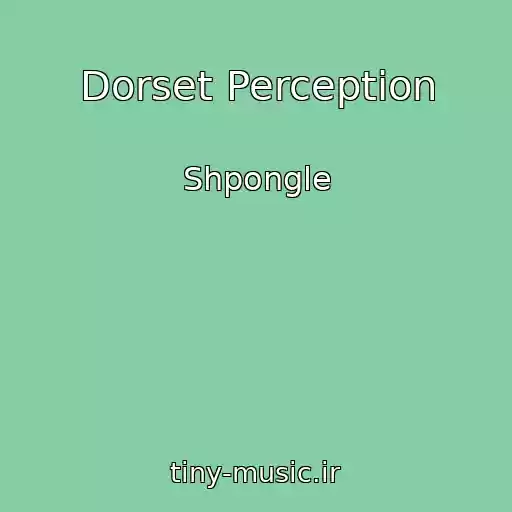 کاور آهنگ Dorset Perception از Shpongle